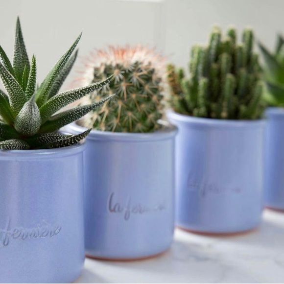 La Fermiere Yogurt Terracotta Pots - Set of 10 - Picture 2 of 6